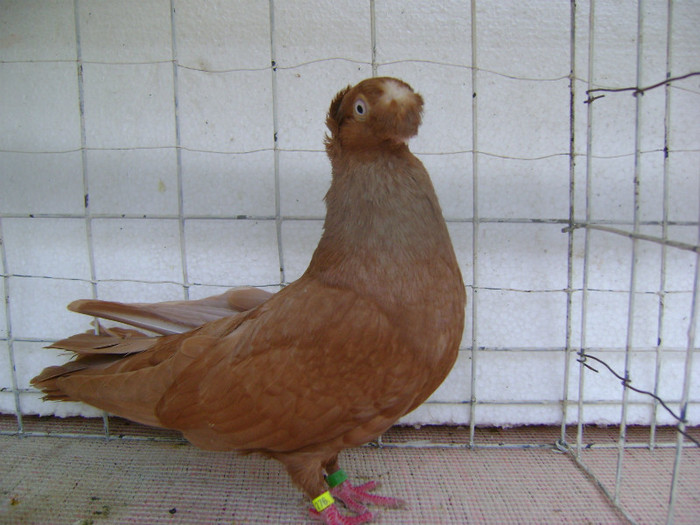 Picture 050 - septembrie 2011