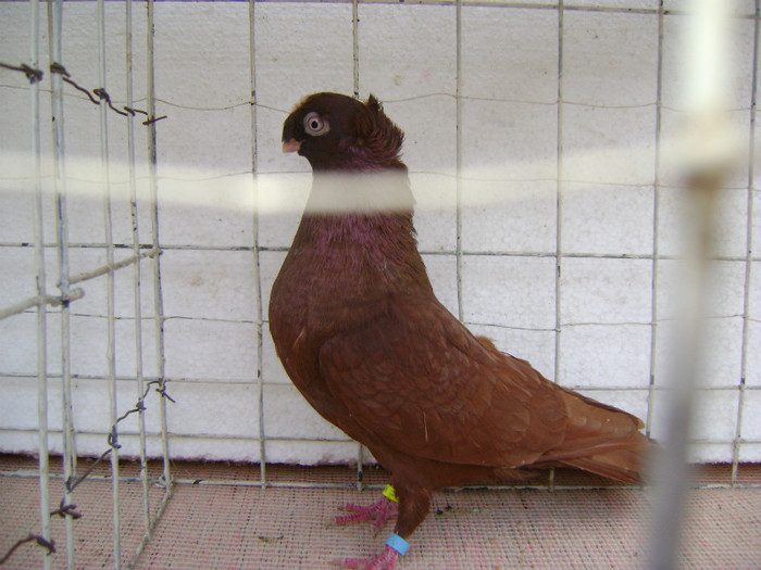 Picture 051 - septembrie 2011