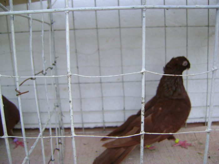 Picture 064 - septembrie 2011