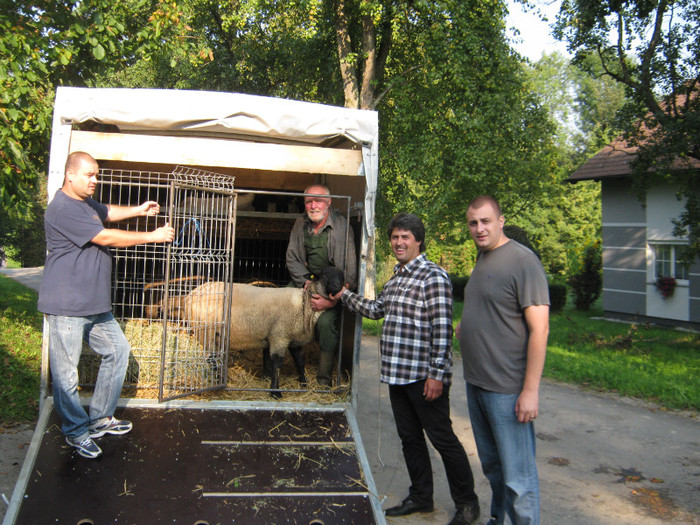 export -import austria-romania - vizita crescatoriilor de iepuri oi si gaini din zona -sucevei-vaslui