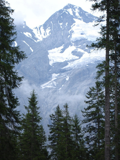 kandersteg - Muntii Alpi