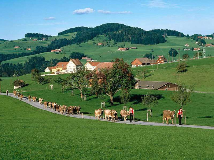 Appenzell,_Switzerland - mai multe imagini diferite