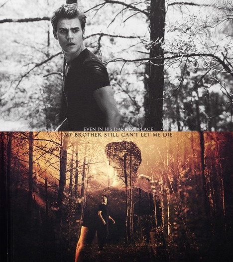 tumblr_ls3bimvHZK1qc5lheo1_500.png - Paul Wesley