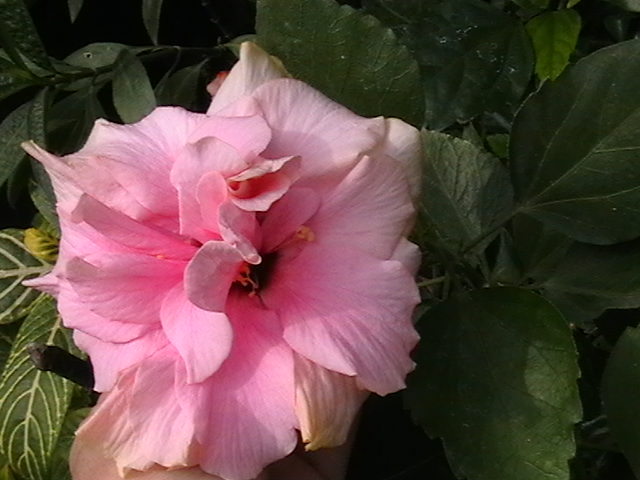 Picture 014