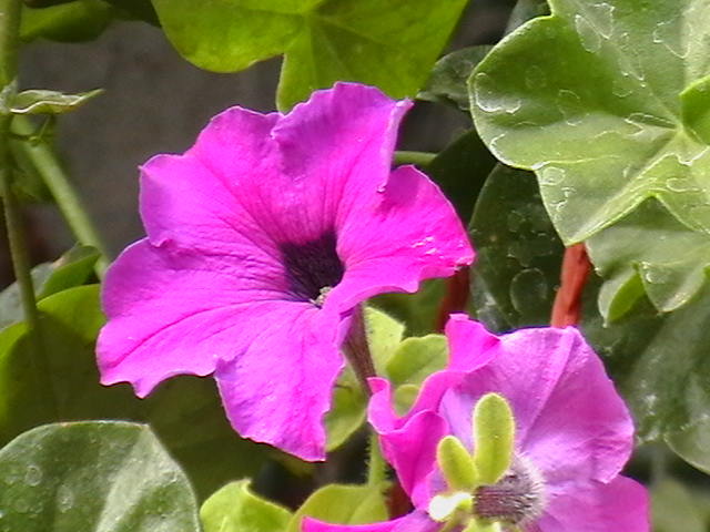 Picture 021