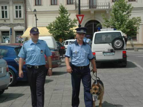 Politisti patrula Baia Mare 01