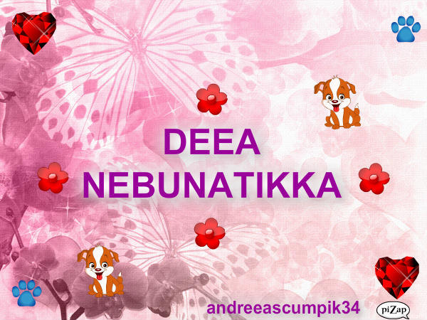 DEEA--nebunatikka ta