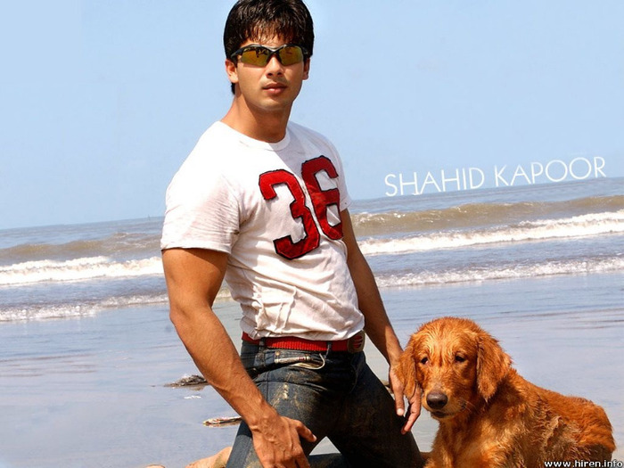 Shahid Kapoor - Vedete Bollywood