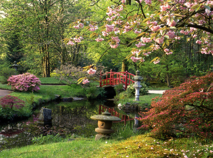 gradina-japoneza-shutterstock - Japonia