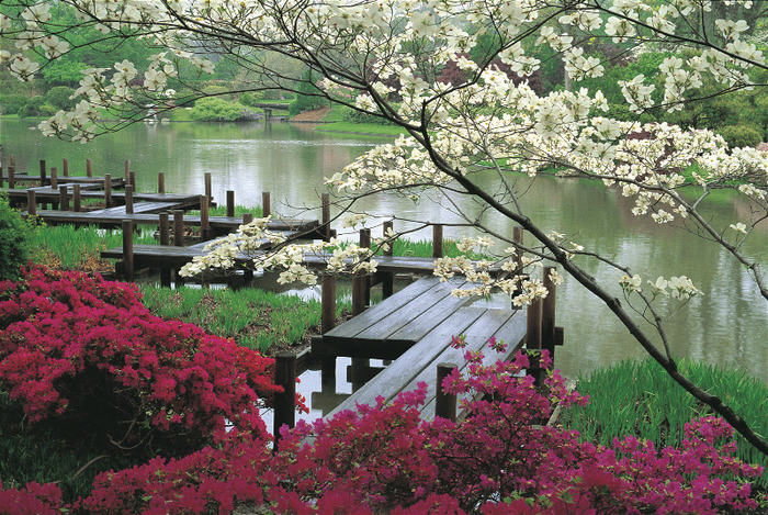 japanesegarden_jjennings - Japonia