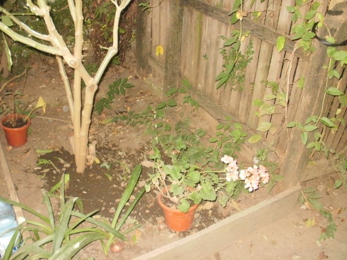 P9300060