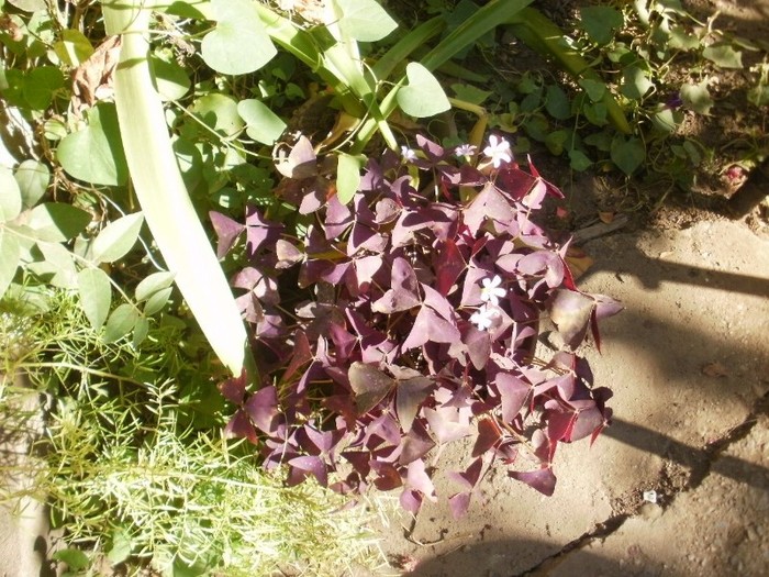 P9300063
