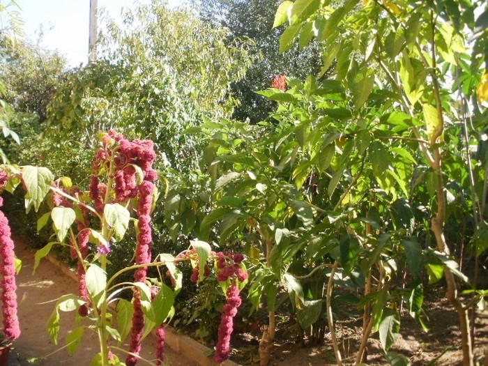 P9300065