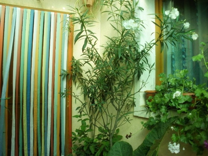 P9300068