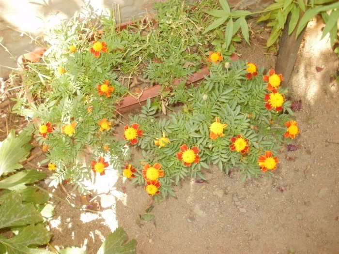 P9300069