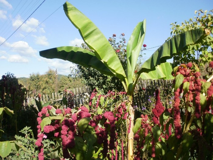 P9300071