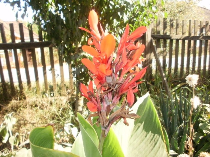 P9300073