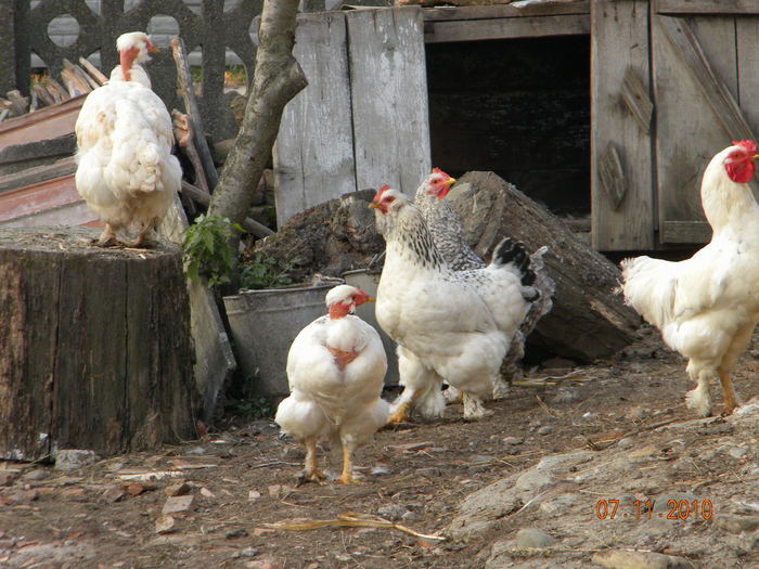 24318026_UZNXWKFAL[1]