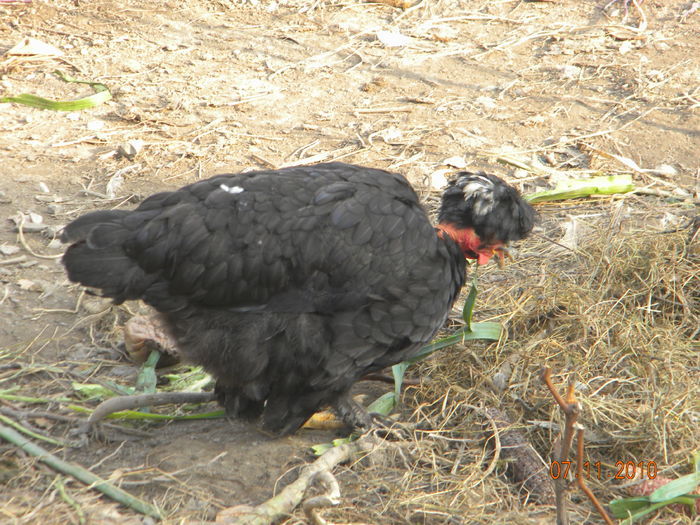 24318039_NSZFKLNST[1]