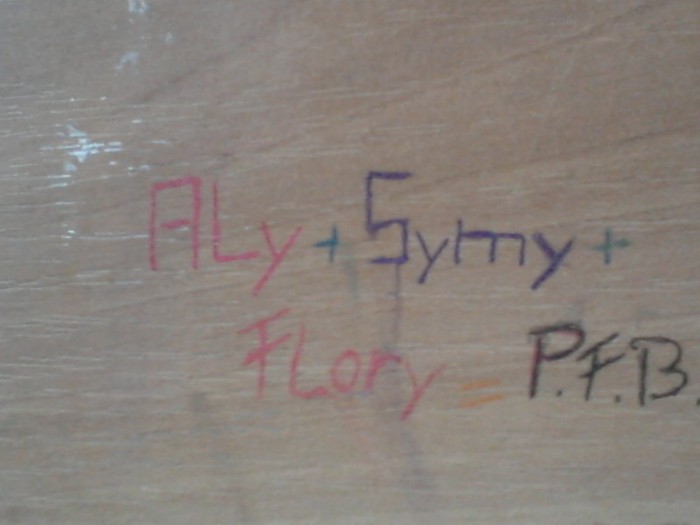 Fotografie-0017djg - Scoala-nou