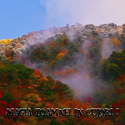 TOAMNA IN CULORILE EI SPLENDIDE !