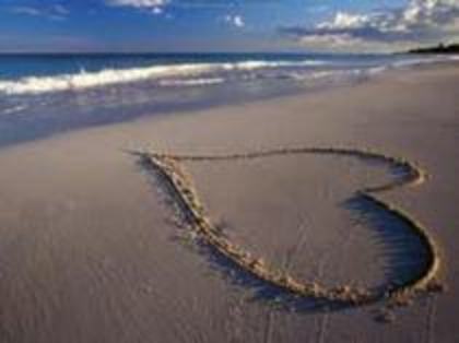 y love you