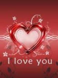 y love you