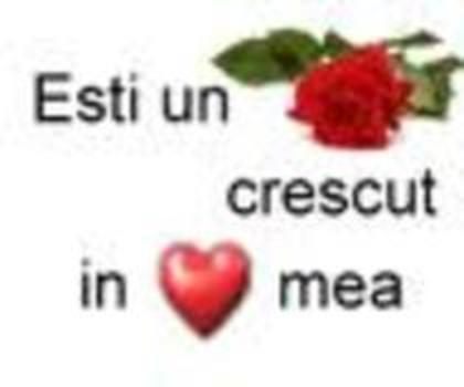 y love you