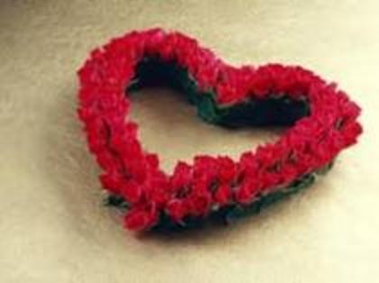 y love you