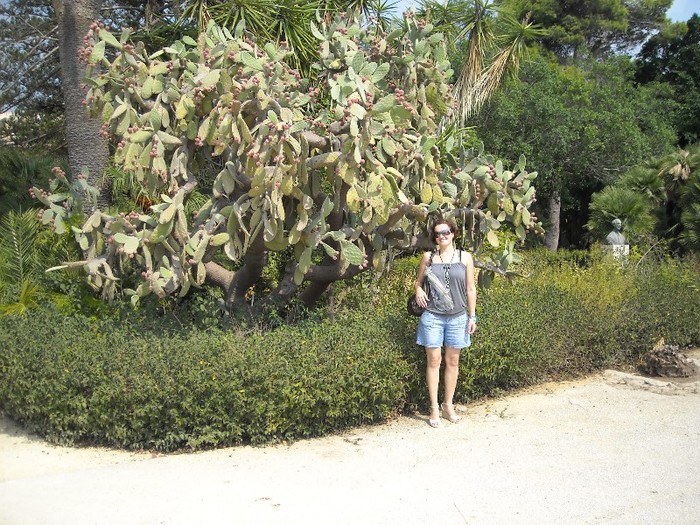 DSCN4289; In parcul din Sciacca
