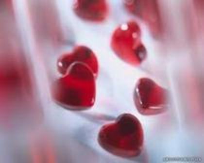 y love you - Love You