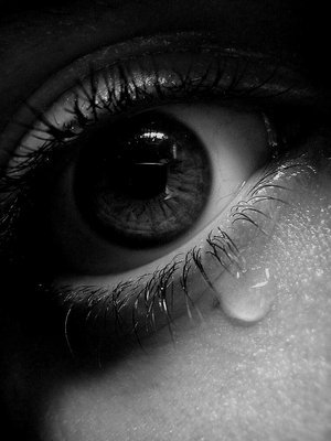 cry1(1)