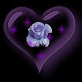 y love you - Love You