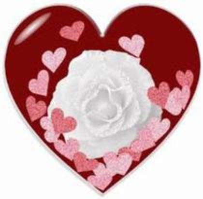 y love you - Love You