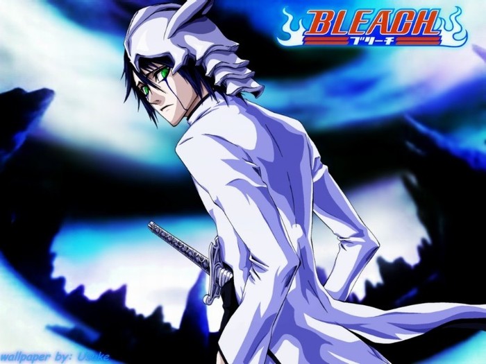 1177875729_ulquiorra-arancar