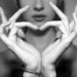 y love you