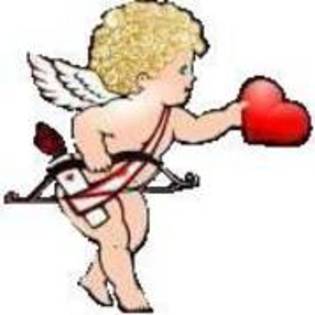 y love you