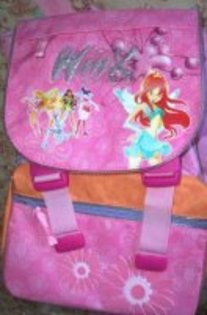 Ghiozdanul din clasa a 4 a