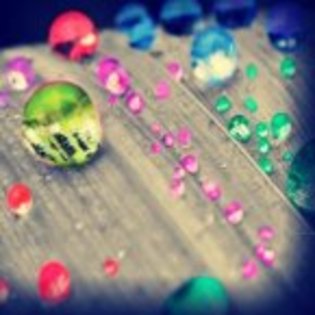 310650_168777876533333_168776863200101_347479_746596_n - poze artistice
