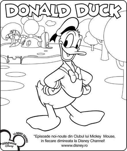 Donald-Duck - activitati si poze de colorat