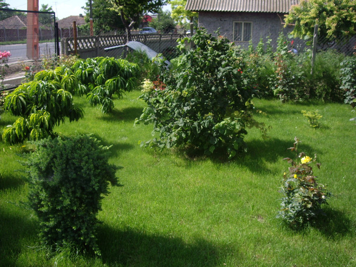 IMGP8920 - Flori 2
