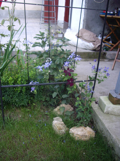 IMGP8932
