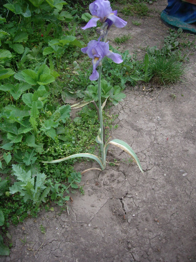 IMGP9740