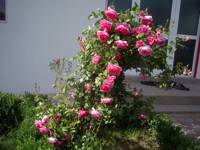 IMGP9761