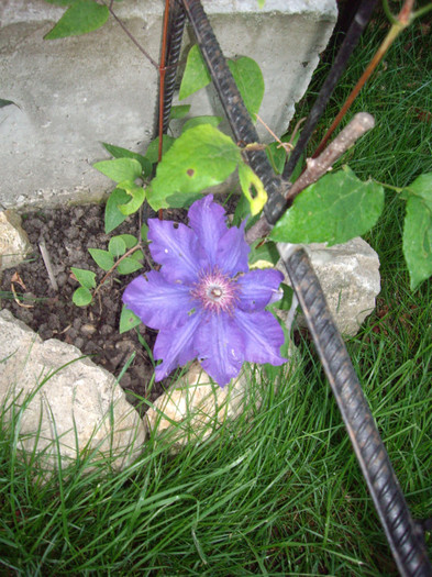 IMGP9808