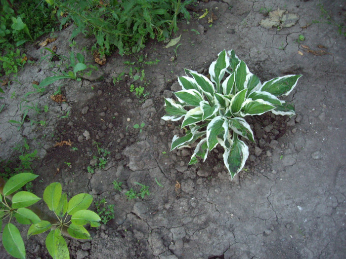 IMGP9825