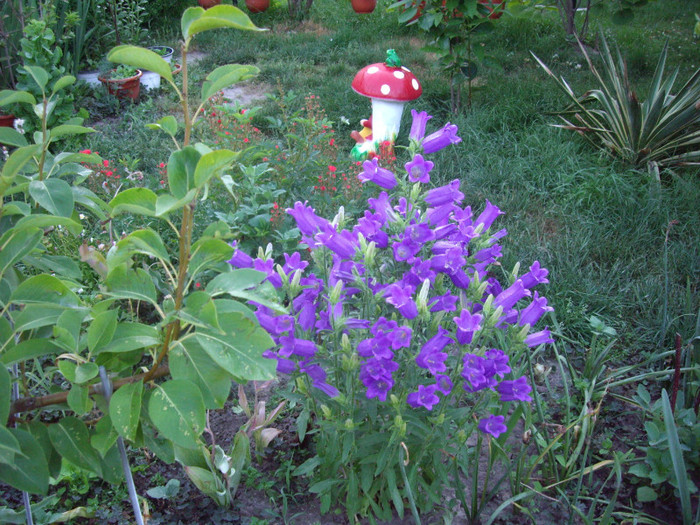IMGP9830