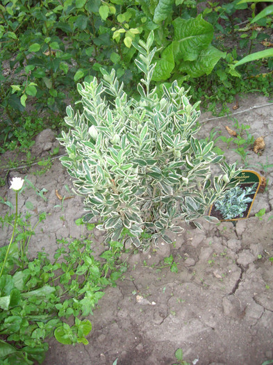 IMGP9835
