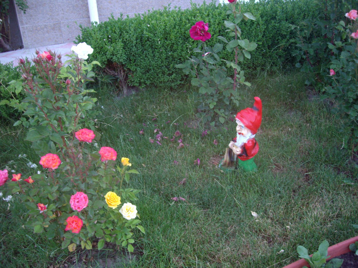IMGP9896