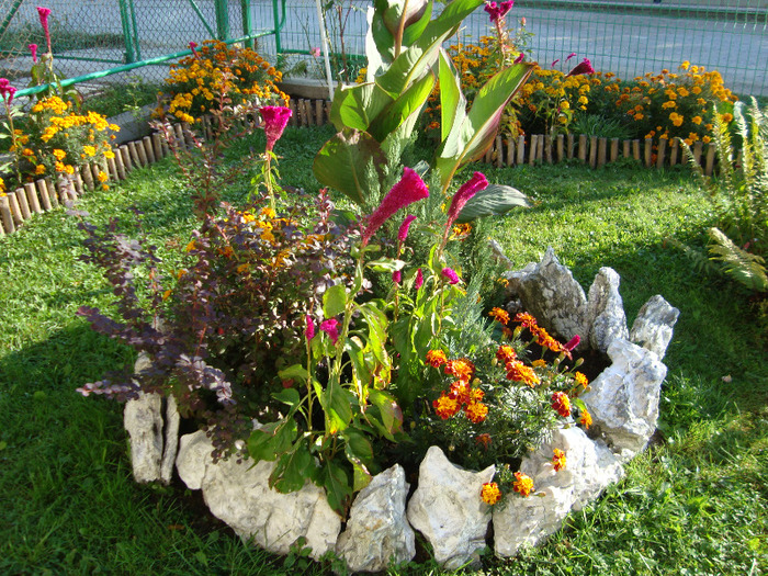DSC02447 - FLORI
